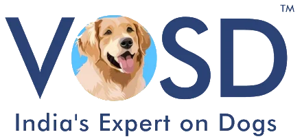vosd-logo